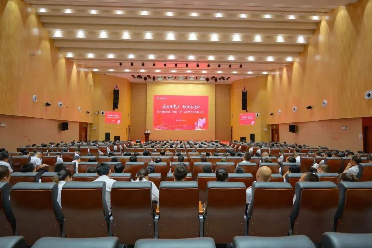 永远跟党走 城发奋进时——宜昌城发集团召开“两优一先”表彰暨青年发展大会